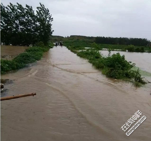 一夜之间钟祥大柴湖变水湖柴湖挺住