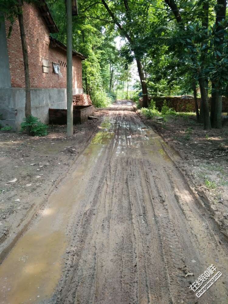 柴湖镇任滩村的路隔壁村的路这就是村村通也没人