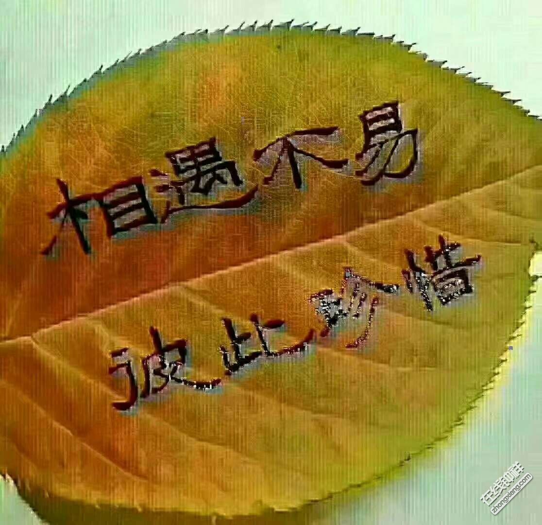 一直相信有些相逢是命中注定,就像茫茫人海中