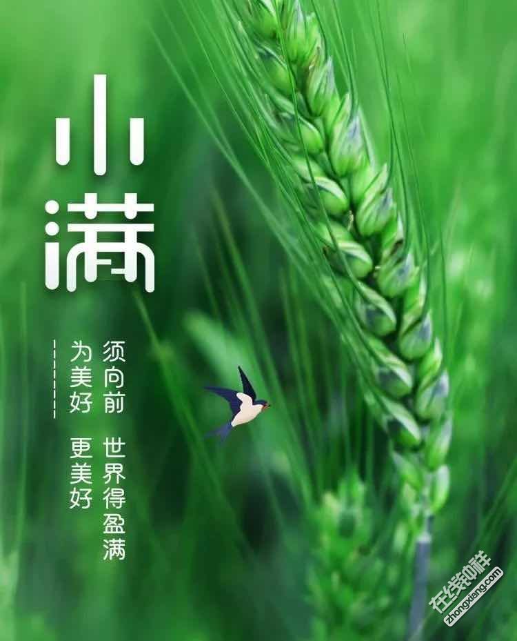今日小满丨有诗有雨,幸福满满