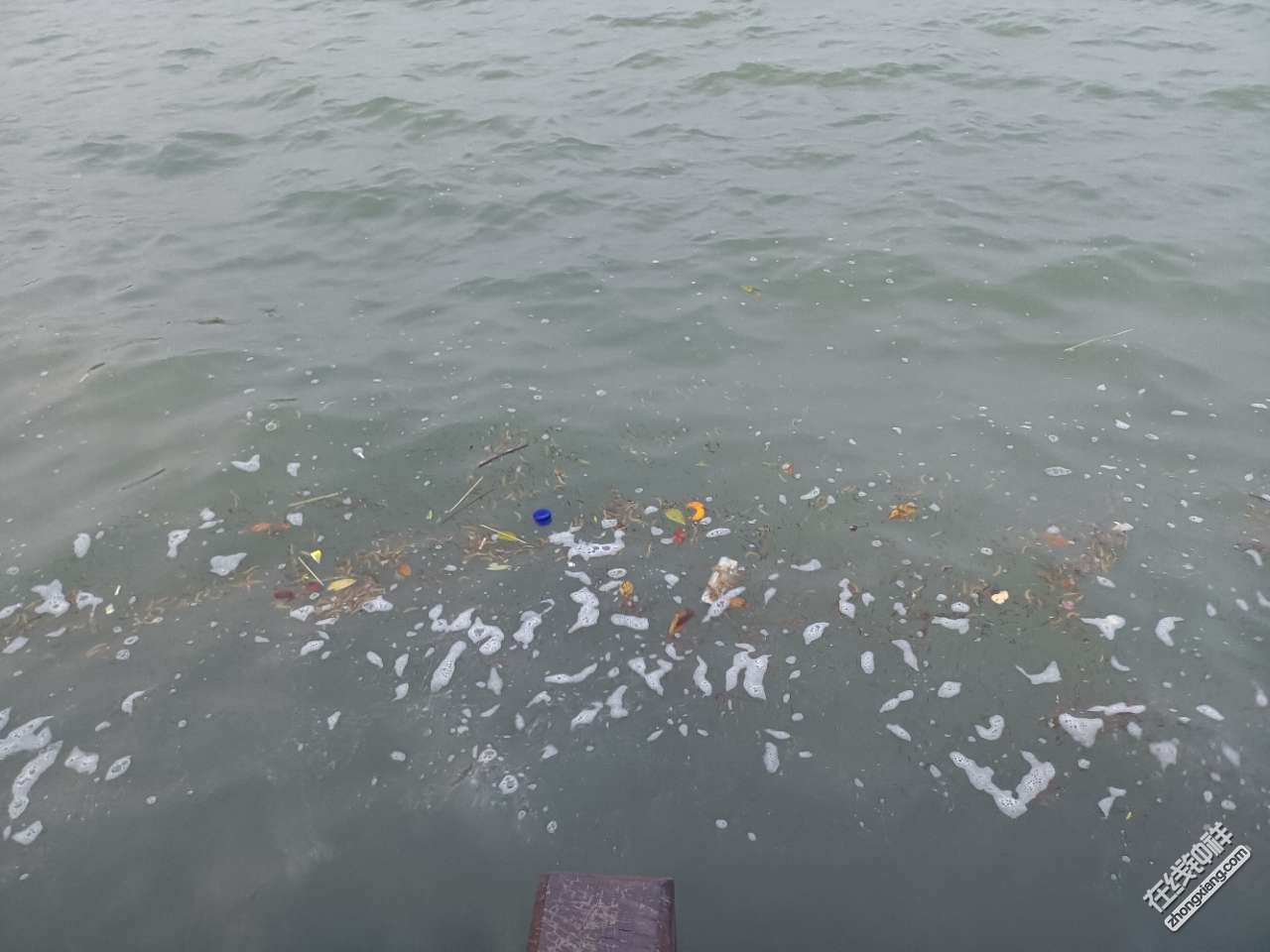 (官方已回复)北湖水面上漂浮的垃圾