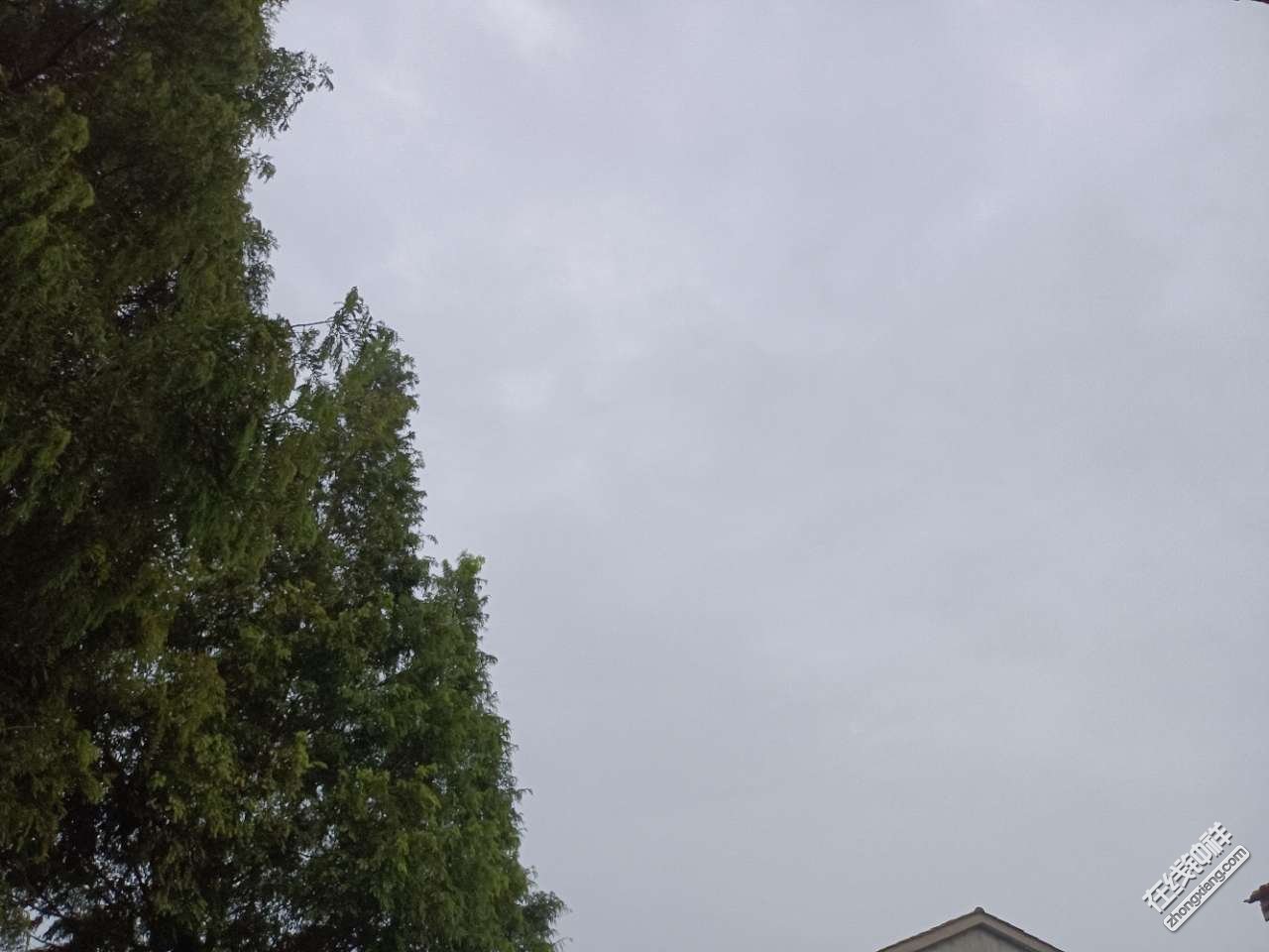 心情就像这灰蒙蒙的天气