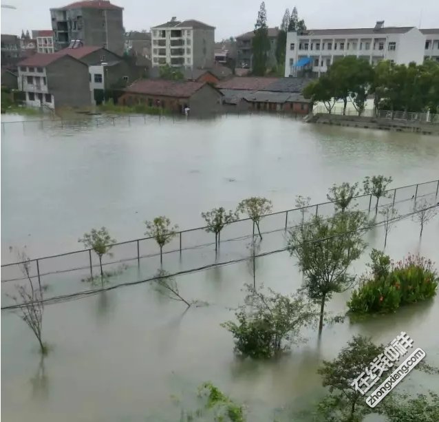 钟祥大柴湖变"水湖,柴湖挺住!