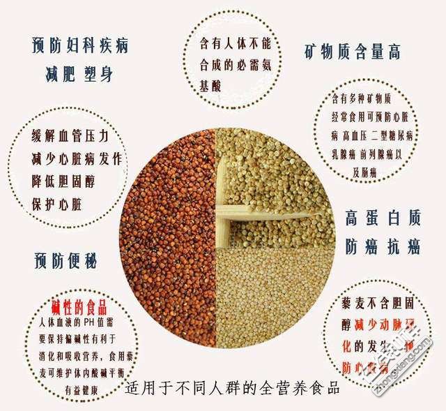 三色藜麦的营养成分表图片