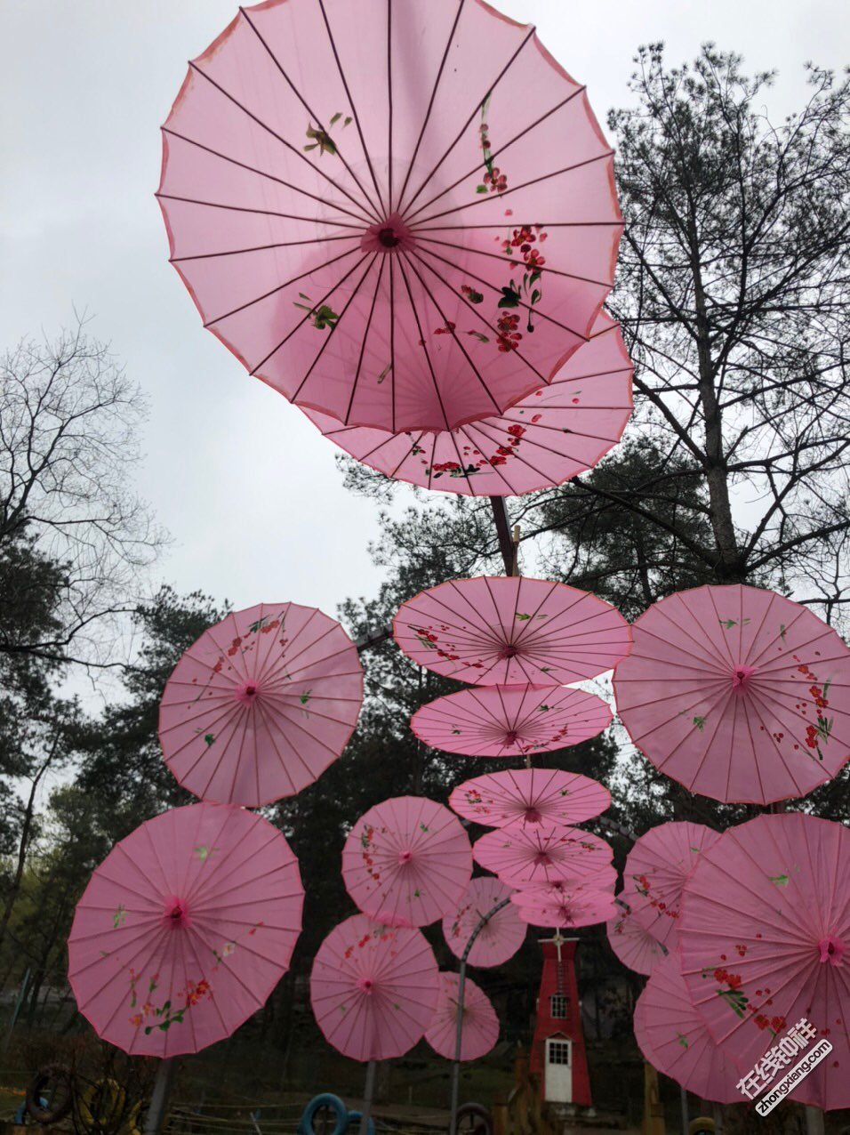 京山的白鹿春风景区